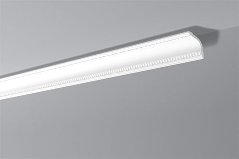 Profil EPS  Dynamic Skin E28