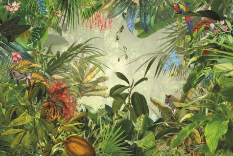 Fototapet Komar  model Into The Wild  Vlies  multicolor  lavabil  cod XXL4-031  368 X 248 cm  4 piese