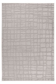  Covor Lotus 301 Silver, 200x290 mm 1