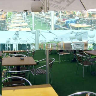 Gazon artificial MAC 250 GR – lățime 2 m 2