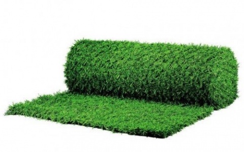 Plasă decorativă imitație gard viu, rolă 10 &times; 1 m, verde, 32-010 1